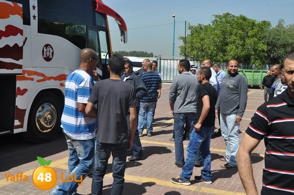 3omrashneer321 (9).JPG